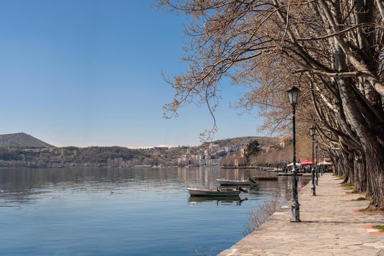 Αρχοντικό Κίτσου - Boutique Hotel Kastoria Luaran gambar